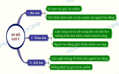 Cảm hứng và vẻ đẹp trong Bài 11： Đoàn Thuyền Đánh Cá – Học tập và phân tích