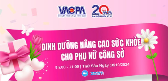 VACPA: Tầm Quan Trọng Và Vai Trò Của Hội Kiểm Toán Viên Hành Nghề Việt Nam