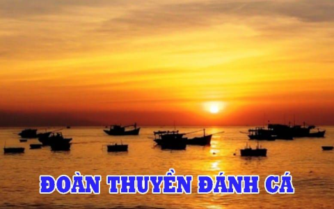 Tìm hiểu khổ 5 bài Đoàn thuyền đánh cá - Hình ảnh ngư dân cần cù