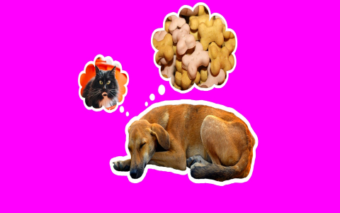 Dreaming of animals mating? Don't panic—it might not be what you think.