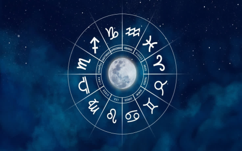 Today I followed my Virgo horoscope all day—how did it go?