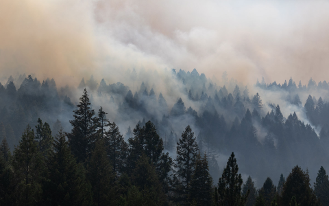 Why do I keep dreaming about “fires”?